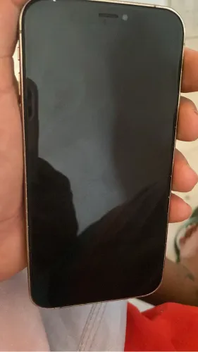 iPhone 11 por max