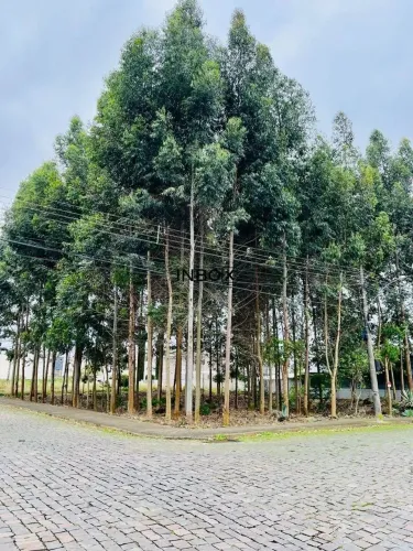 Inbox Imobiliária vende terreno de 15x30 no Universitário em Bento Gonçalves.
