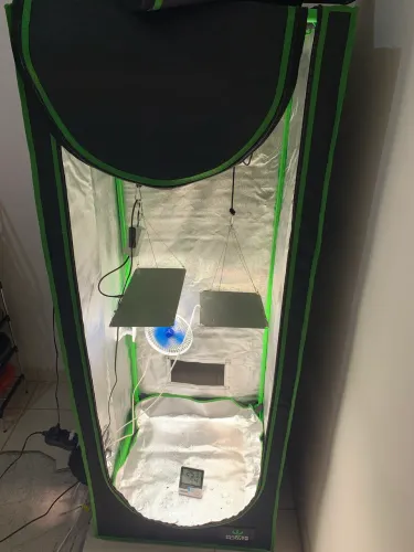Estufa grow cultivo indoor 60x60x160 + exaustor c/ filtro de carvão