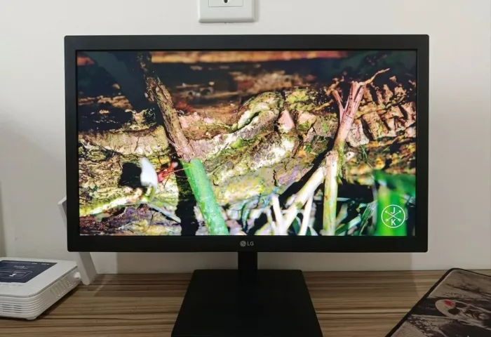 Monitor LG HDMI inclinável 