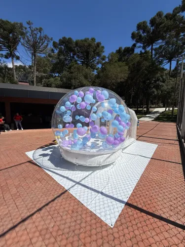 Aluguel de brinquedos infláveis em Curitiba e Região Metropolitana