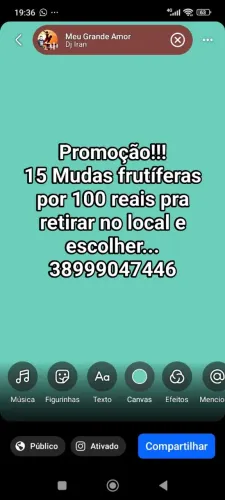 Promoção!!!