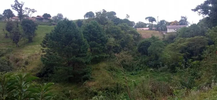 Vendo Terreno em São Bento do Sul