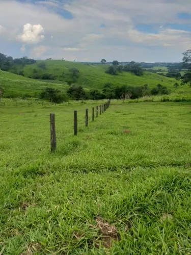 Fazenda em Jesúpolis Go 51 alqueires - TERRA DE CULTURA
