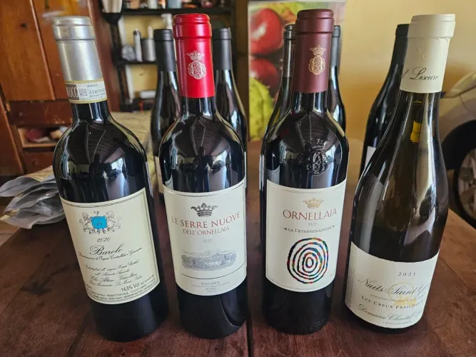 Lote com 9 garrafas de vinho