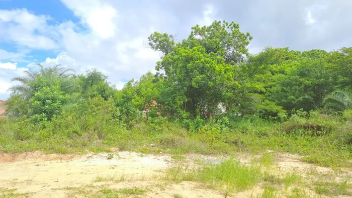 Terrenos Cabuçu parcelados