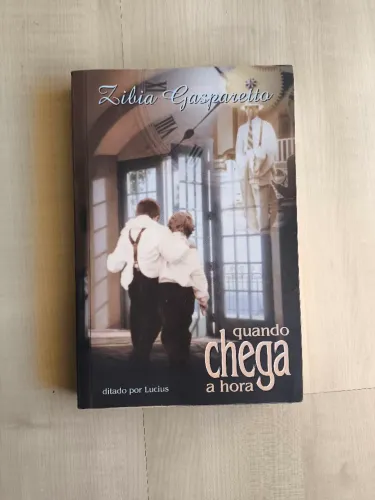 Livro Quando Chega a Hora Zibia Gasparetto Ditado por Lucius Romance Espírita Usado