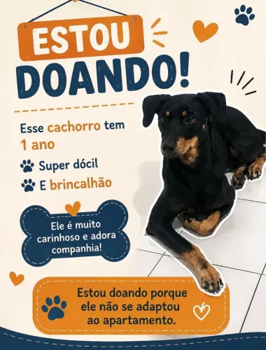 Doação