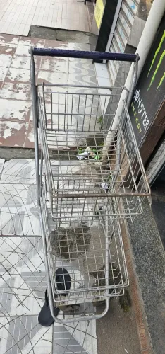 Mini Carrinho de Mercado dois cestos