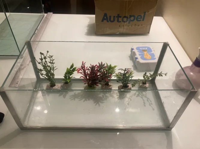 Aquário 41x18x17 com plantas artificiais