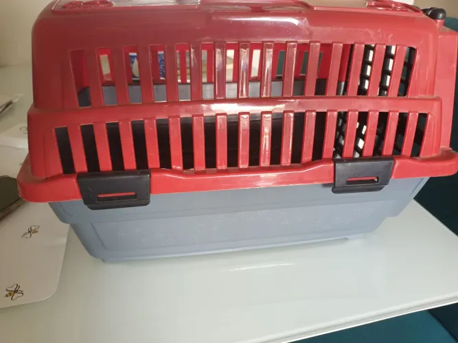 Caixa de transporte de pet