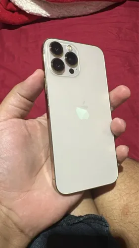 13 pro Max