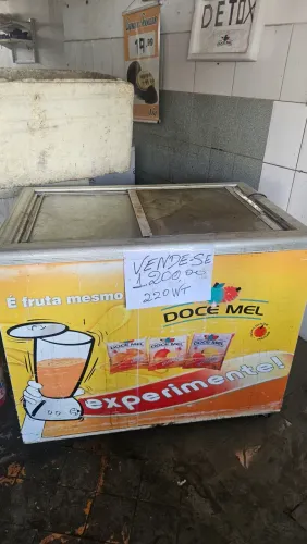 Freezer 220v