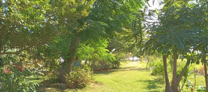 Vendo sitio 