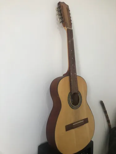 Viola caipira