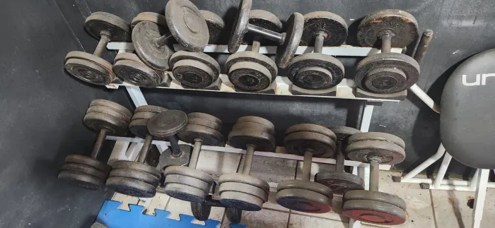 Halteres musculação