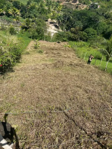 Vendo terreno para fazer sítio ou Chacrinha