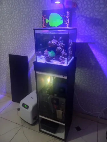 Aquario marinho completo