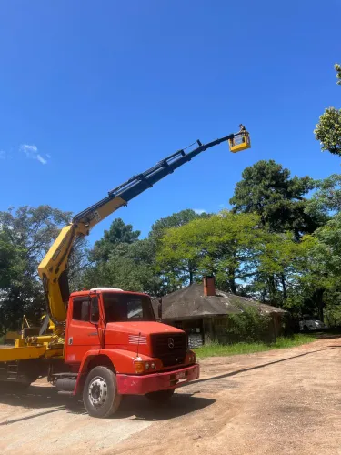 Mercedes 1620 munck Palfinger 43 toneladas 