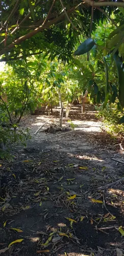 Grande terreno 10x60 todo murado com uma casa em construção