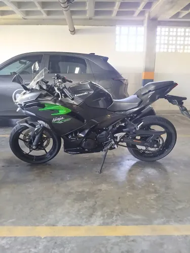 Ninja 500 2026