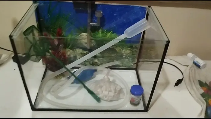 Vendo aquário de 27 litros com filtro e ampularia