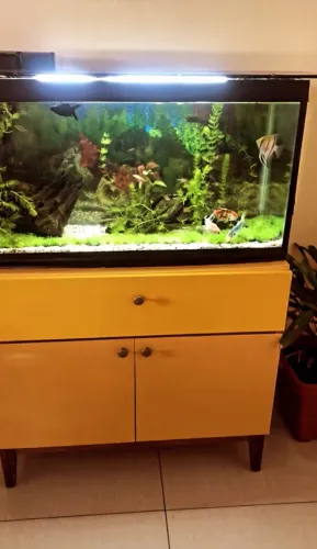 Vendo Aquário 110L + Móvel (Somente o vidro)