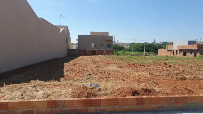 Terreno Regissol II Mirassol