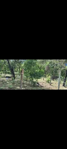 Terreno próximo a Lageado 