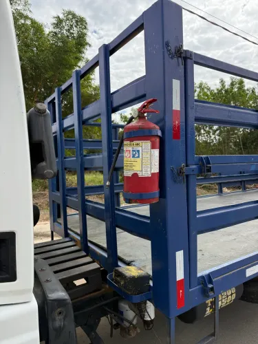 FORD CARGO 815