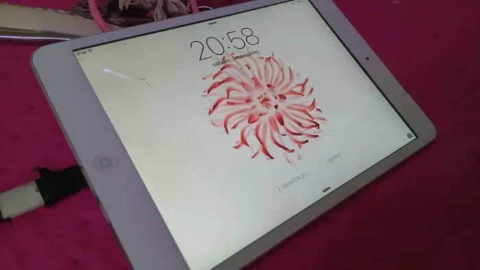 Ipad mini 