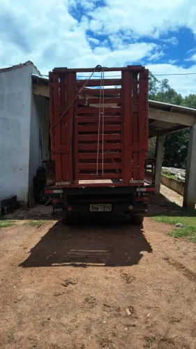 Transporte para animais