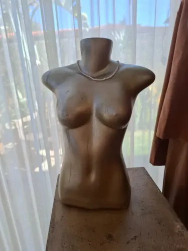 Manequim Busto Feminino para Loja e Confecção - Usado