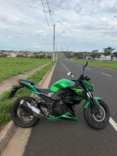 Z300 2016