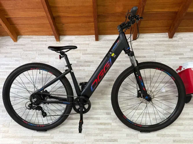 E-bike OGGI Flex 200 aro 29