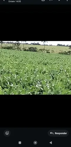 Fazenda 1.002 hec a venda Rosário do oeste MT. 33 milhões