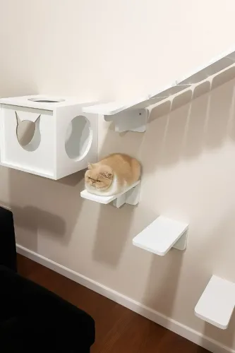 Playground para Gatos