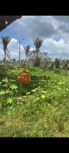 TERRENO INDUSTRIAL em Pinheiro - MA, Centro