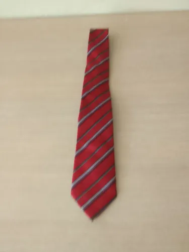 Gravata masculina _ BRUNATTI