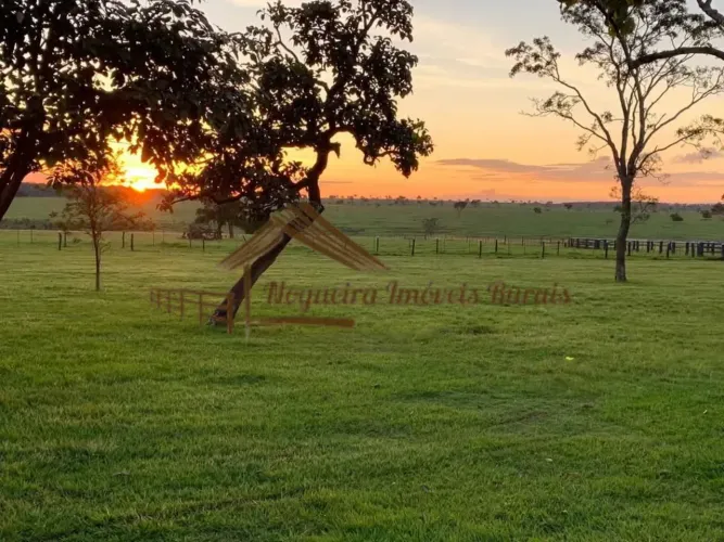 Fazenda a venda com 3.004 hectares na região de Ribas do Rio Pardo-MS
