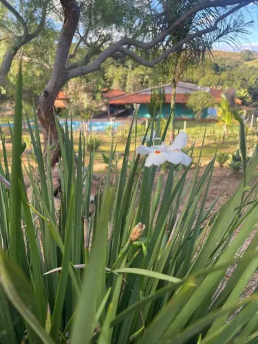 Seu refúgio em Alexânia-go ( aceita-se terreno ou imóvel em Brasília ) 