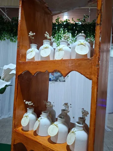 Vasos de gesso