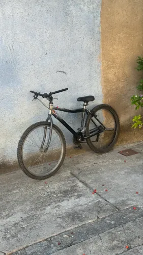 Bicicleta