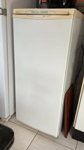 Freezer Vertical
