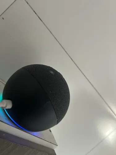 alexa