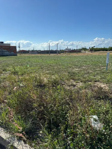 Terreno 