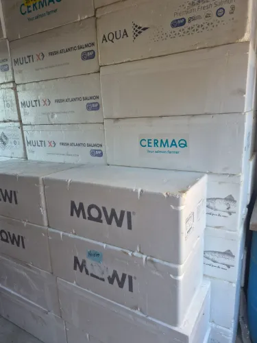Caixas de isopor 30 litro ótimas para peixarias e pescados ou restaurantes