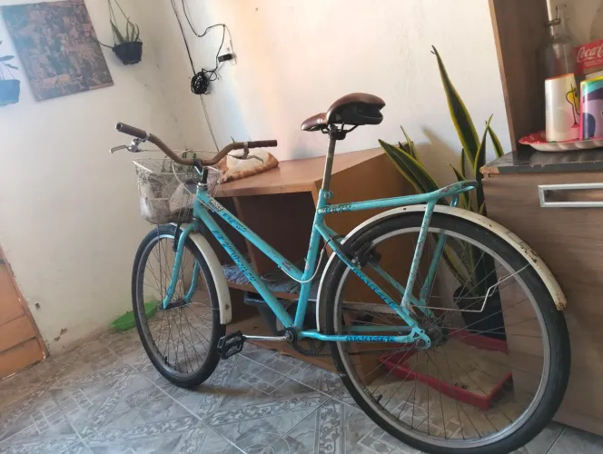 Bicicleta vintage 