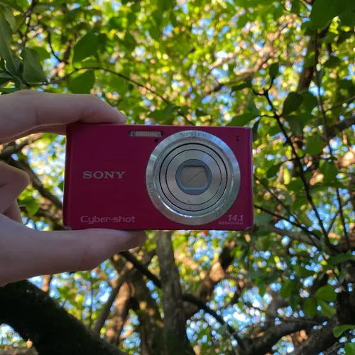 Câmera Sony Cyber-shot Rosa 14.1 mp