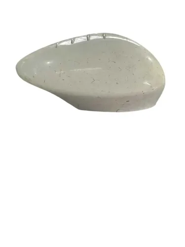 capa retrovisor new fiesta 12/18 L.D